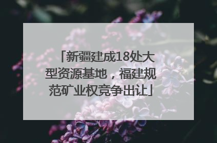 新疆建成18处大型资源基地，福建规范矿业权竞争出让